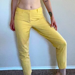Canary yellow dress pants